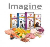 /album/perros/bodegon-imagine-web1-jpg1/